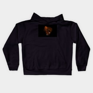 Realistic fiery bomb dark explosion with sparks and smoke Kids Hoodie